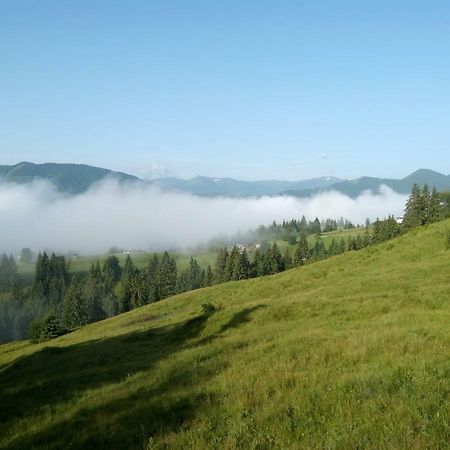 Karpatskiy Maetok Appartement Verkhovyna Buitenkant foto