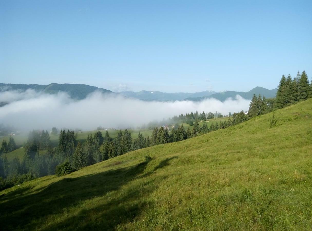 Karpatskiy Maetok Appartement Verkhovyna Buitenkant foto